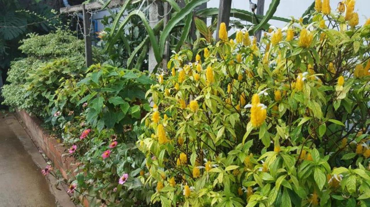 Maymyo Sa Khan Tha Hotel Pyin Oo Lwin Exteriér fotografie
